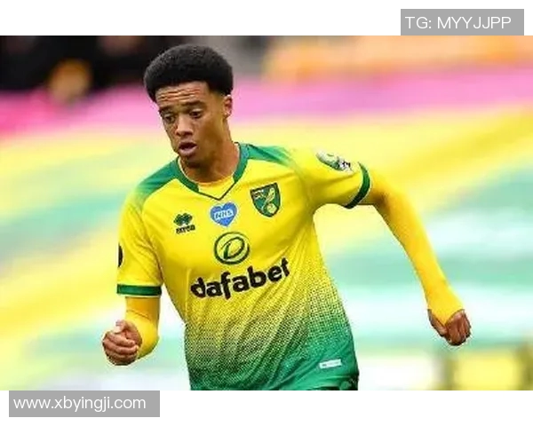 荷兰足球明星光头女的传奇故事与她的赛场风采 荷兰足球明星光头女的传奇故事与她的赛场风采